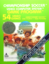 Championship Soccer (Atari Vault 2600)
